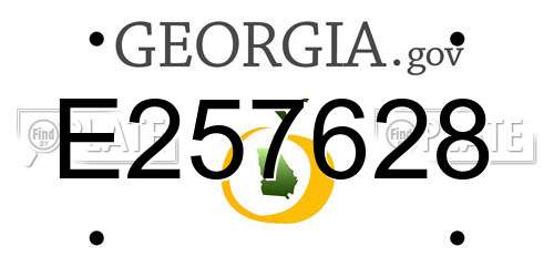 E257628 Georgia License Plate