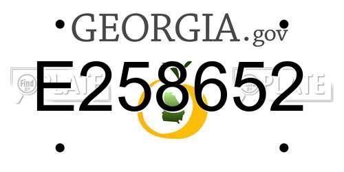 E258652 Georgia License Plate