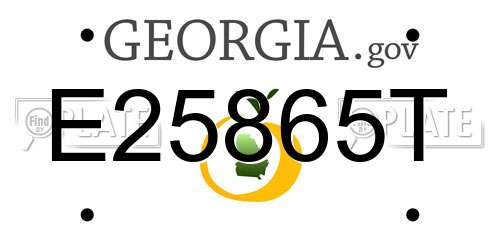 E25865T Georgia License Plate
