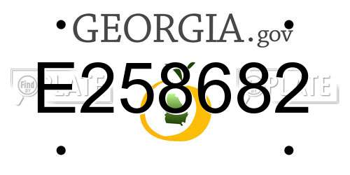 E258682 Georgia License Plate
