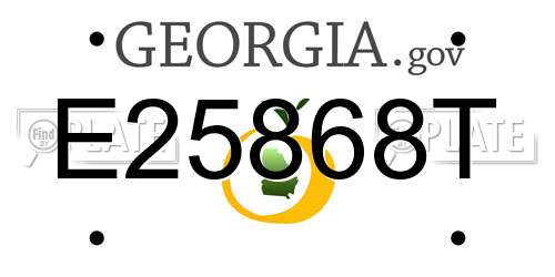 E25868T Georgia License Plate