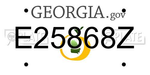 E25868Z Georgia License Plate