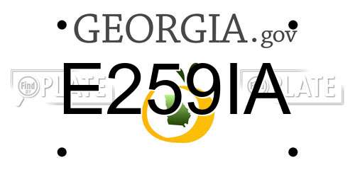 E259IA Georgia License Plate