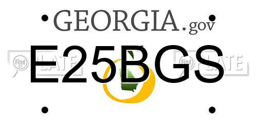 E25BGS Georgia License Plate