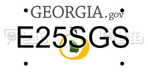 E25SGS Georgia License Plate
