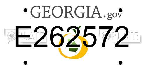 E262572 Georgia License Plate