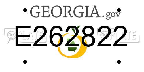 E262822 Georgia License Plate