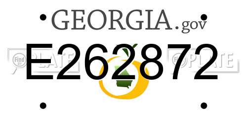 E262872 Georgia License Plate