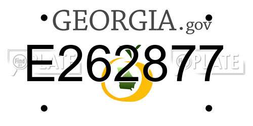 E262877 Georgia License Plate