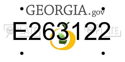 E263122 Georgia License Plate