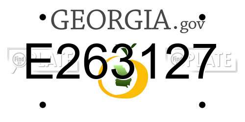 E263127 Georgia License Plate