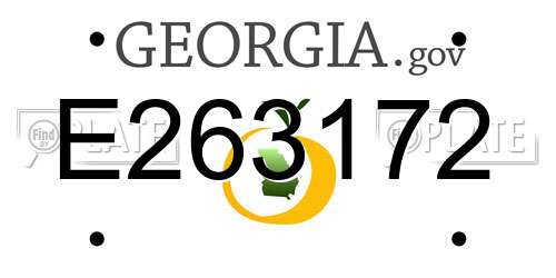 E263172 Georgia License Plate