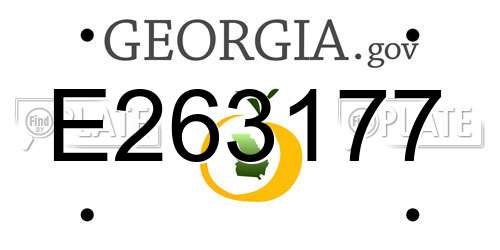 E263177 Georgia License Plate