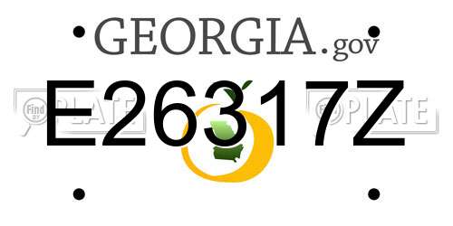 E26317Z Georgia License Plate