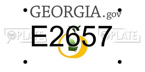 E2657 Georgia License Plate