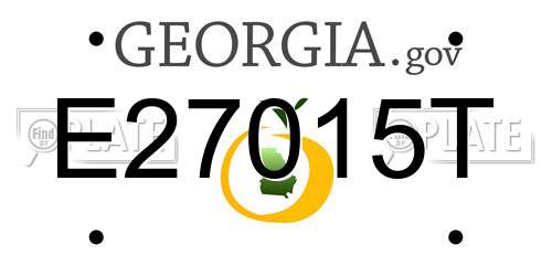 E27015T Georgia License Plate