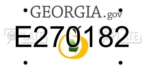 E270182 Georgia License Plate