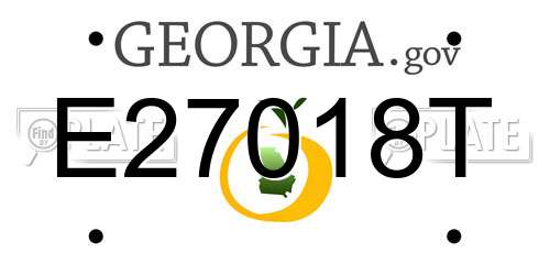 E27018T Georgia License Plate