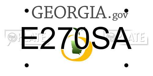 E270SA Georgia License Plate