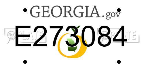 E273084 Georgia License Plate
