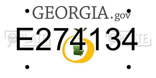 E274134 Georgia License Plate