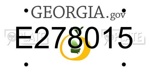 E278015 Georgia License Plate