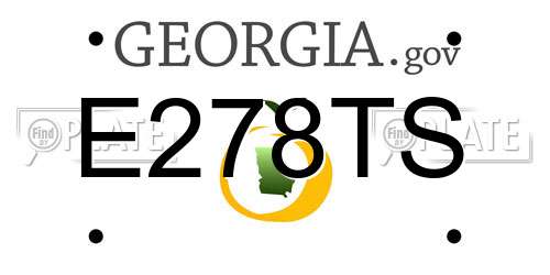 E278TS Georgia License Plate