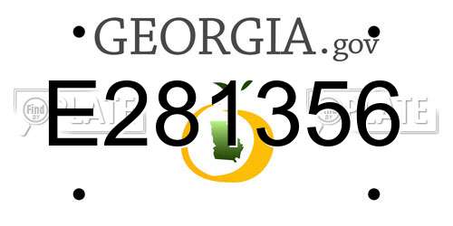 E281356 Georgia License Plate