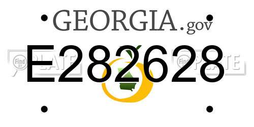 E282628 Georgia License Plate