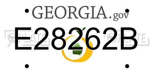 E28262B Georgia License Plate