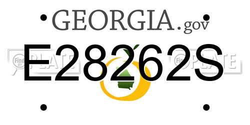 E28262S Georgia License Plate