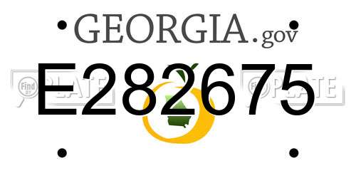 E282675 Georgia License Plate