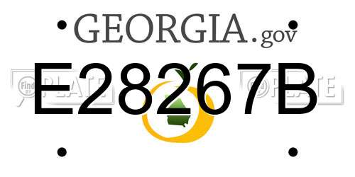 E28267B Georgia License Plate