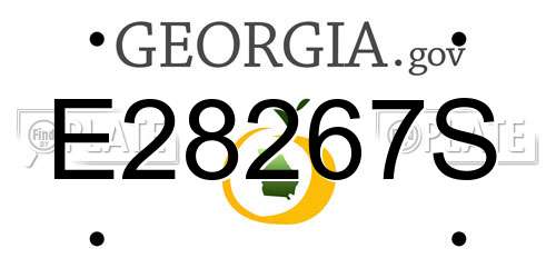 E28267S Georgia License Plate