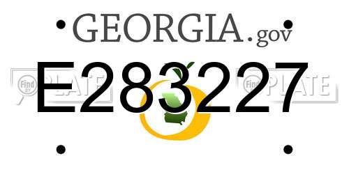 E283227 Georgia License Plate