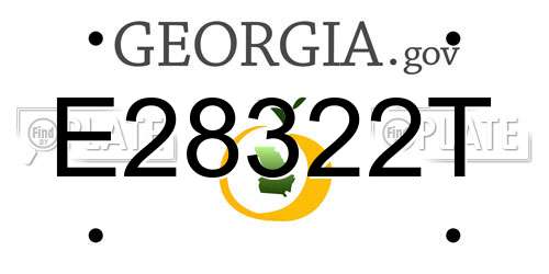 E28322T Georgia License Plate
