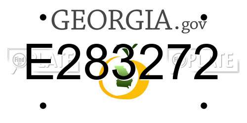 E283272 Georgia License Plate