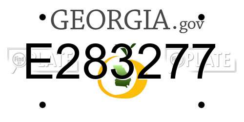 E283277 Georgia License Plate