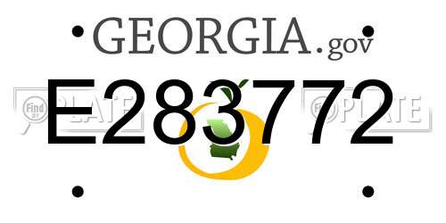 E283772 Georgia License Plate