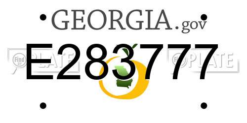 E283777 Georgia License Plate