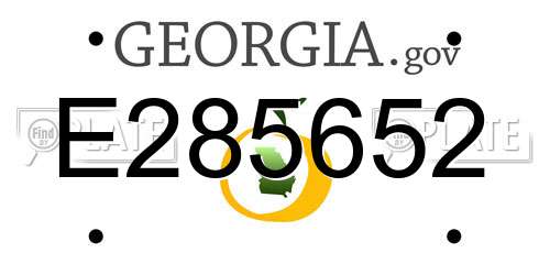 E285652 Georgia License Plate