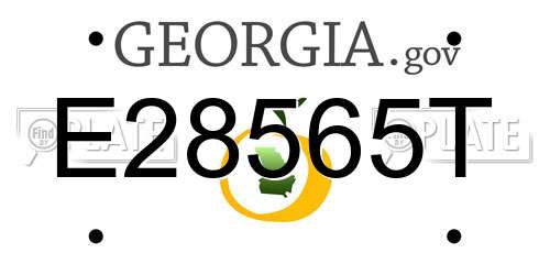 E28565T Georgia License Plate