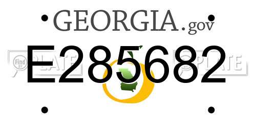 E285682 Georgia License Plate