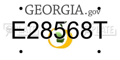 E28568T Georgia License Plate