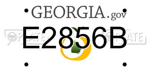 E2856B Georgia License Plate