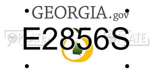 E2856S Georgia License Plate