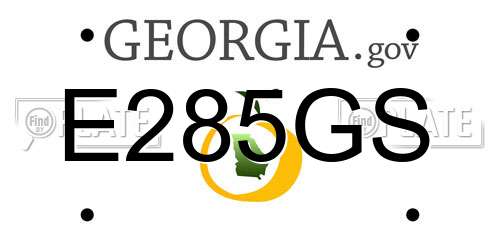 E285GS Georgia License Plate