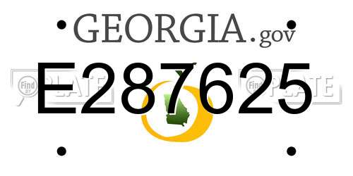 E287625 Georgia License Plate