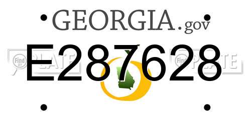 E287628 Georgia License Plate