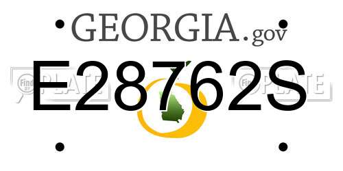 E28762S Georgia License Plate